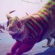 В сеть утекли скриншоты и видео инопланетных тварей из No Mans Sky