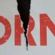 Крупнейшие издатели все эти годы теряли деньги из-за DRM-защиты в своих играх