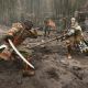 Ubisoft приглашает на закрытый бета-тест игры For Honor