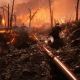 Жестокий бой в горящем лесу показали в трейлере первого дополнения Battlefield 1