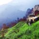 Свежее обновление для No Man’s Sky куда масштабнее, чем можно было ожидать