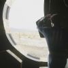 В Bethesda рассказали про экранизацию Fallout