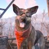 В Fallout 4 появилась возможность поиграть за Псину